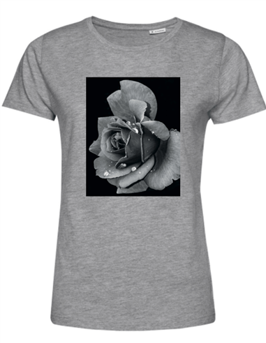 DARK ROSE SHIRT DAMES