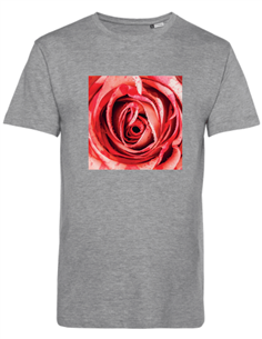 I HAVE A CRUSH ON YOU SHIRT